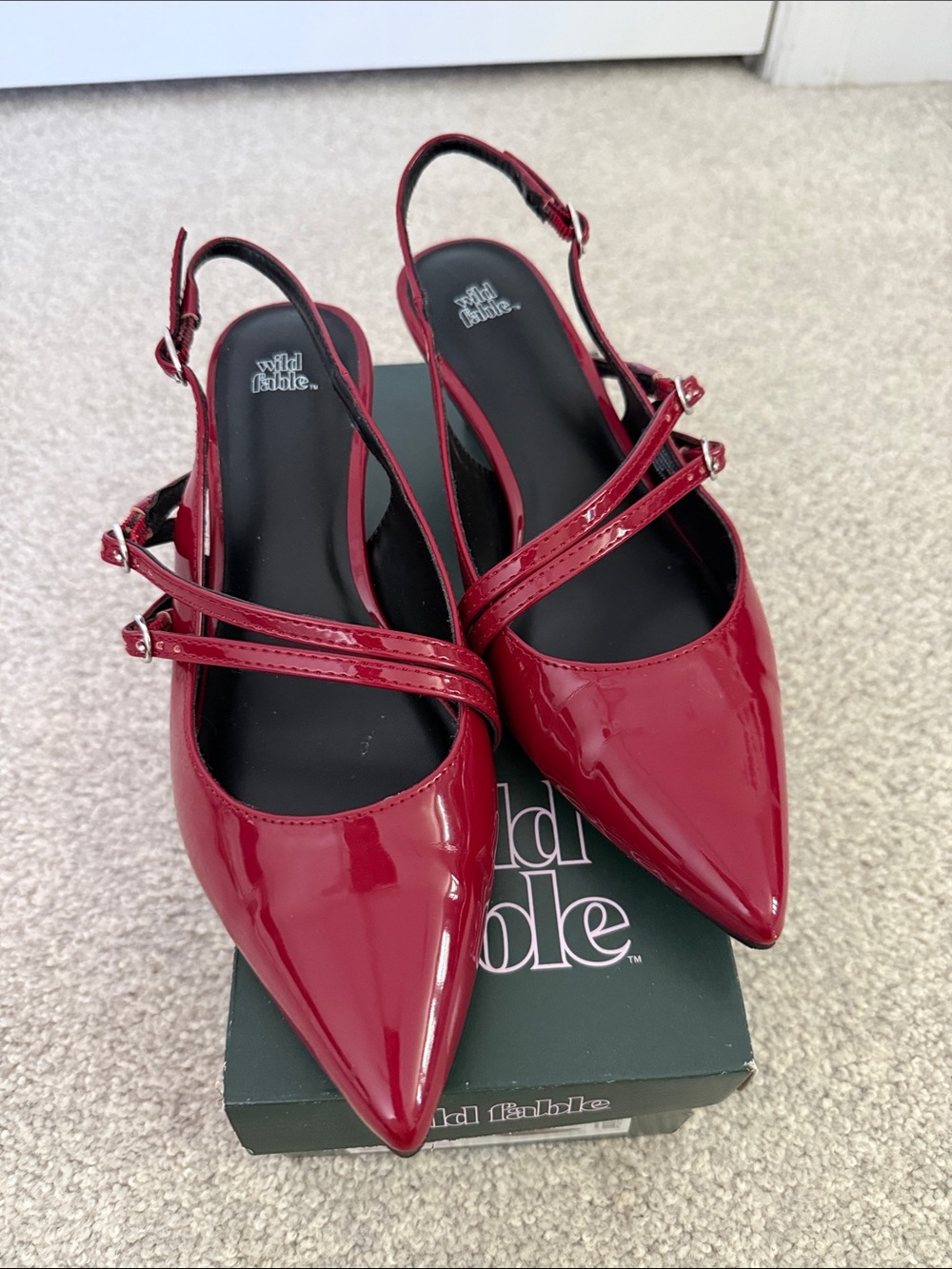 wild fable Red Patent Pointed Slingback Flats with Double Straps